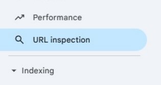 URL ISSPECTION